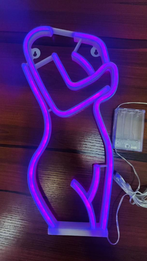 LED BODY SHAPE LIGHT